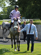 Alcala under Sam Twiston-Davies at Newton Abbot - 16 June 2017