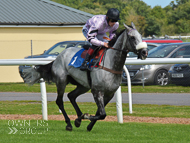 Alcala at Newton Abbot - 16 August 2017