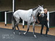 Alcala - Market Rasen - 21 July 2018