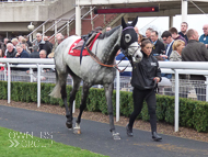 Alcala at Sandown - 11 March 2017