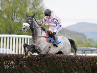 Alcala winning under Sam Twiston-Davies at Ludlow - 18 April 2017