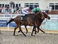 True North at Chelmsford- 17 July 2018