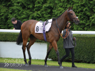 True North at Kempton - 10 July 2019