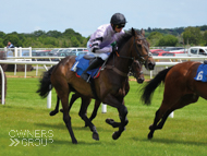 Parody at Newton Abbot - 5 June 2019