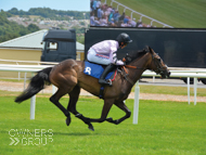 Parody at Newton Abbot - 5 July 2019