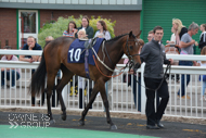 Cupboard Love at Wolverhampton - 29 May 2018