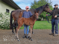 Cupboard Love and her Perfect Power filly - 23 April 2024