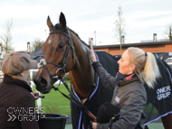 Getaway Trump at Newbury - 29 December 2018