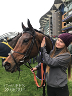 Getaway Trump at Ascot - 16 February 2019