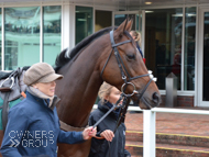 Getaway Trump at Cheltenham - 25 October 2019