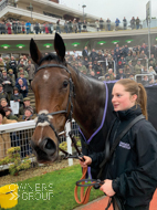 Getaway Trump at Cheltenham - 17 November 2019