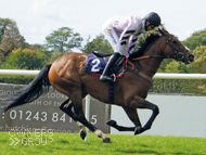 Getaway Trump at Fontwell - 12 September 2020