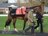 Getaway Trump at Kempton - 9 February 2018