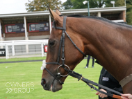 Getaway Trump at Fontwell - 12 September 2020