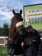 Getaway Trump at Cheltenham - 23 October 2020