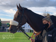 Getaway Trump at Cheltenham - 23 October 2020