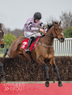 Getaway Trump and Lorcan Williams winning at Doncaster - 6 March 2021