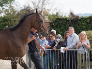 Getaway Trump at Paul Nicholls' visit - 26 September 2021