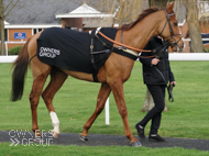 Jaboticaba at Kempton - 7 February 2020