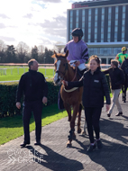 Jaboticaba at Doncaster - 12 March 2020