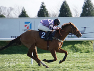 Jaboticaba at Doncaster - 12 March 2020