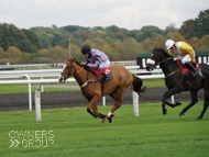 Jaboticaba at Kempton - 18 October 2020