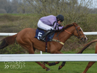 Jaboticaba at Chepstow - 6 April 2019