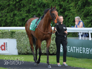 In The Cove at Kempton - 10 July 2019