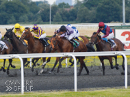 In The Cove at Kempton - 10 July 2019