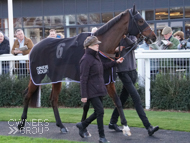 Force Ten at Newbury - 7 November 2019