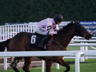 Force Ten at Newbury - 7 November 2019