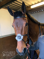 Sabrina at Kempton - 14 March 2020