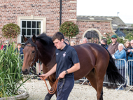 Sabrina at Paul Nicholls' visit - 10 October 2021