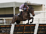 Sabrina at Wincanton - 5 November 2022