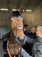 Sabrina at Wincanton - 21 April 2024