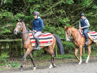 Pentland Hills followed by Issuing Authority - 24 April 2024