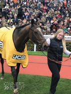Pentland Hills after winning the Triumph Hurdle at The Cheltenham Festival - 15 March 2019