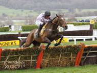 Pentland Hills on his way to victory in the Triumph Hurdle at the Cheltenham Festival - 15 March 2019