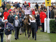 Pentland Hills at the Cheltenham Festival - 15 March 2019