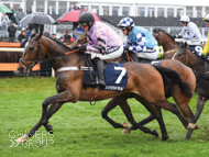 Pentland Hills at Aintree - 4 April 2019