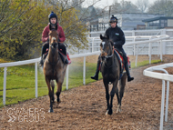 Pentland Hills (right) after his racecourse gallop at Newbury - 19 November 2019