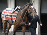 Pentland Hills at Kempton - 25 February 2020