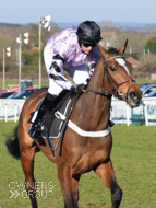 Pentland Hills on his way to victory at Plumpton - 25 February 2019