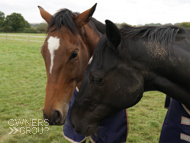 Pentland Hills (left) with Farouk De Cheneau - 29 September 2020