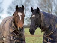 Pentland Hills (left) with Farouk De Cheneau - 22 January 2021