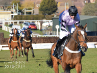 Pentland Hills on his way to victory at Plumpton - 25 February 2019