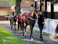 Pentland Hills at Haydock - 23 September 2022