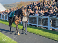 Pentland Hills at Cheltenham - 12 November 2022