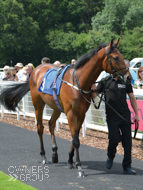 Hexagon at Salisbury - 26 June 2019