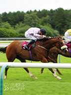 Proclaimer at Haydock - 5 July 2020